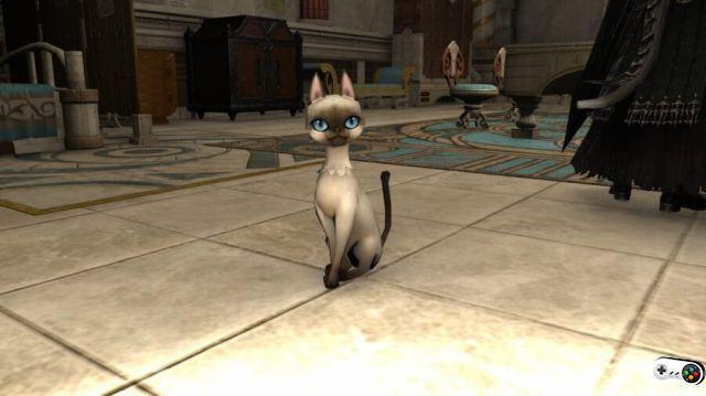 Cómo conseguir el Gato Nagxian Minion en Final Fantasy XIV: Endwalker