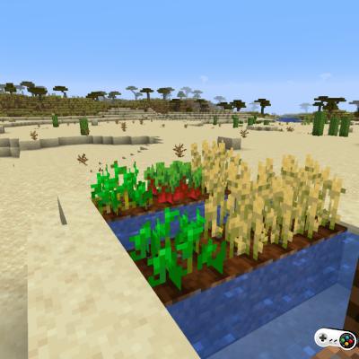 Las mejores granjas esenciales en Minecraft
